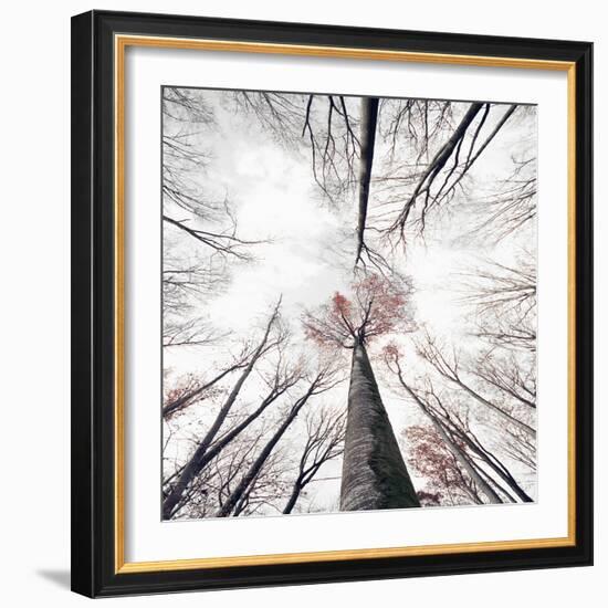 Skeleton-Philippe Sainte-Laudy-Framed Photographic Print