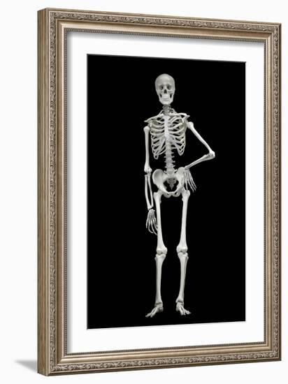 Skeleton-Linda Wright-Framed Photographic Print