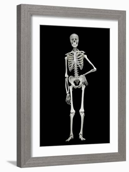 Skeleton-Linda Wright-Framed Photographic Print