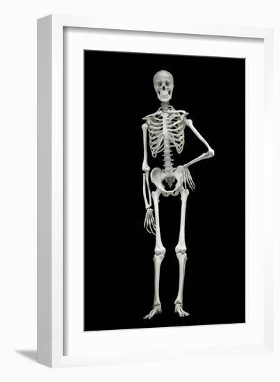 Skeleton-Linda Wright-Framed Photographic Print