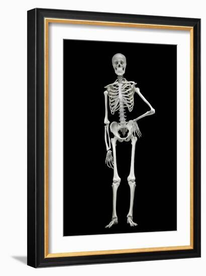 Skeleton-Linda Wright-Framed Photographic Print