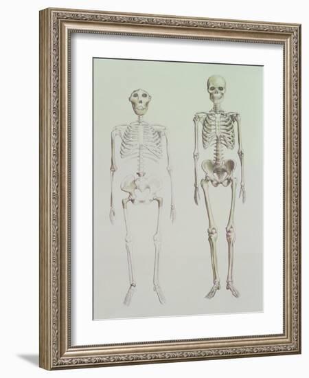 Skeletons of Australopithecus Boisei and Homo Sapiens-null-Framed Giclee Print