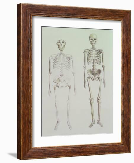 Skeletons of Australopithecus Boisei and Homo Sapiens-null-Framed Giclee Print