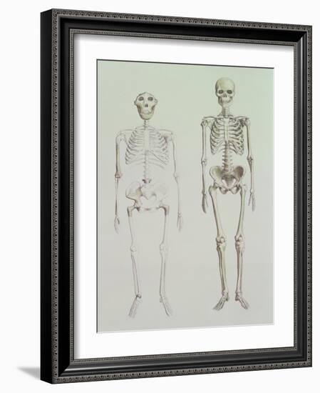 Skeletons of Australopithecus Boisei and Homo Sapiens-null-Framed Giclee Print