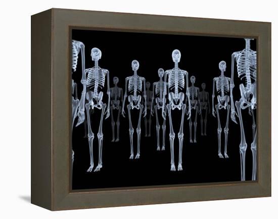 Skeletons, X-ray Artwork-David Mack-Framed Premier Image Canvas