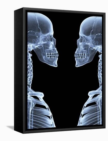 Skeletons, X-ray Artwork-David Mack-Framed Premier Image Canvas