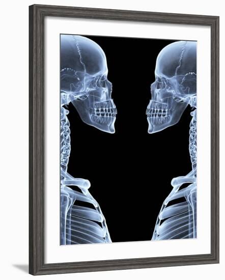 Skeletons, X-ray Artwork-David Mack-Framed Photographic Print