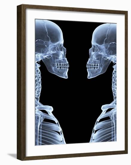 Skeletons, X-ray Artwork-David Mack-Framed Photographic Print