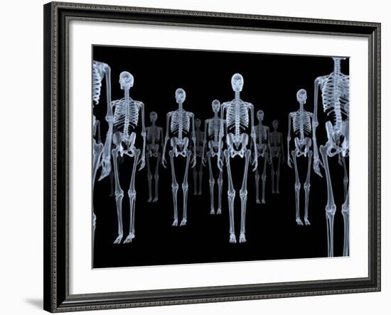 Skeletons, X-ray Artwork-David Mack-Framed Photographic Print