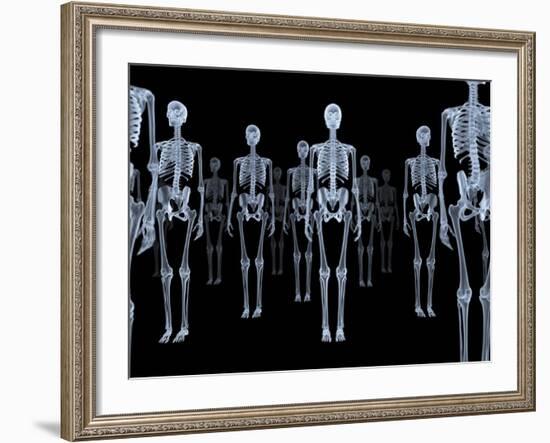 Skeletons, X-ray Artwork-David Mack-Framed Photographic Print