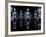 Skeletons, X-ray Artwork-David Mack-Framed Photographic Print