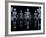 Skeletons, X-ray Artwork-David Mack-Framed Photographic Print