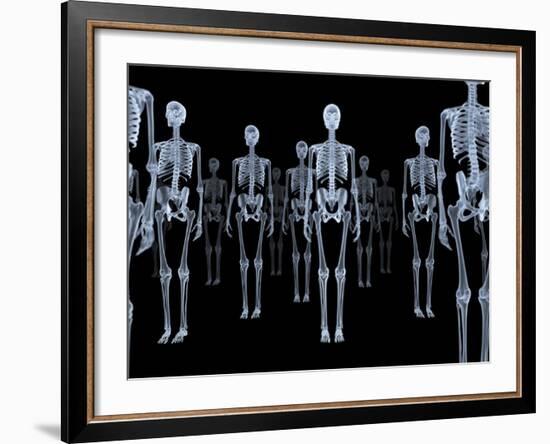 Skeletons, X-ray Artwork-David Mack-Framed Photographic Print