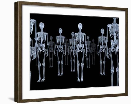Skeletons, X-ray Artwork-David Mack-Framed Photographic Print