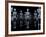 Skeletons, X-ray Artwork-David Mack-Framed Photographic Print