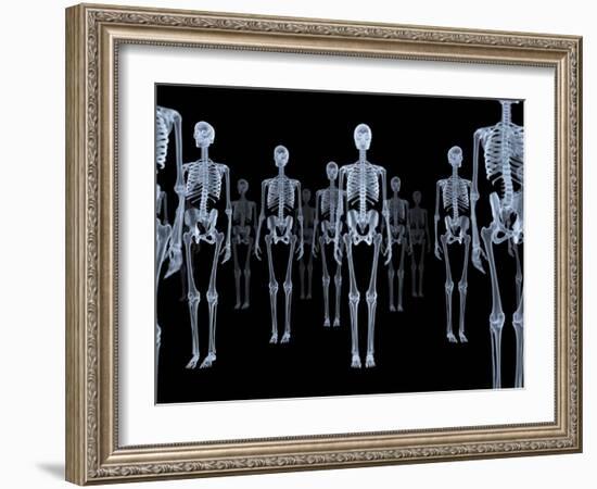 Skeletons, X-ray Artwork-David Mack-Framed Photographic Print