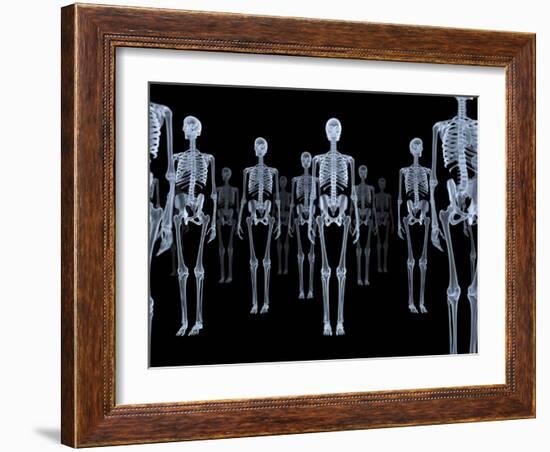 Skeletons, X-ray Artwork-David Mack-Framed Photographic Print