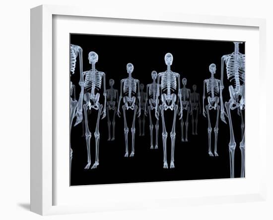 Skeletons, X-ray Artwork-David Mack-Framed Photographic Print