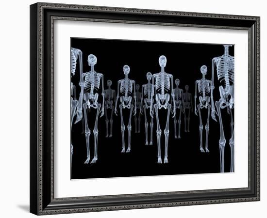 Skeletons, X-ray Artwork-David Mack-Framed Photographic Print