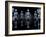 Skeletons, X-ray Artwork-David Mack-Framed Photographic Print