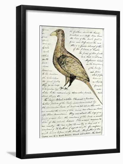 Sketch by William Clark of Cock of the Plains in the Lewis and Clark Expedition Diary-null-Framed Giclee Print