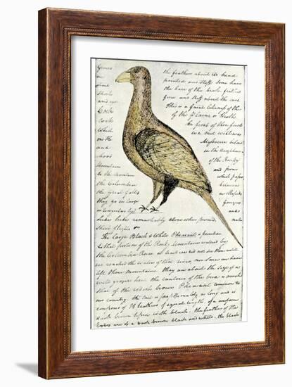 Sketch by William Clark of Cock of the Plains in the Lewis and Clark Expedition Diary-null-Framed Giclee Print