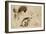 Sketch for Sardanapalus-Ferdinand Victor Eugene Delacroix-Framed Giclee Print