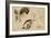 Sketch for Sardanapalus-Ferdinand Victor Eugene Delacroix-Framed Giclee Print