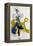 Sketch For the Ballet La Peri, by Paul Dukas-Leon Bakst-Framed Premier Image Canvas