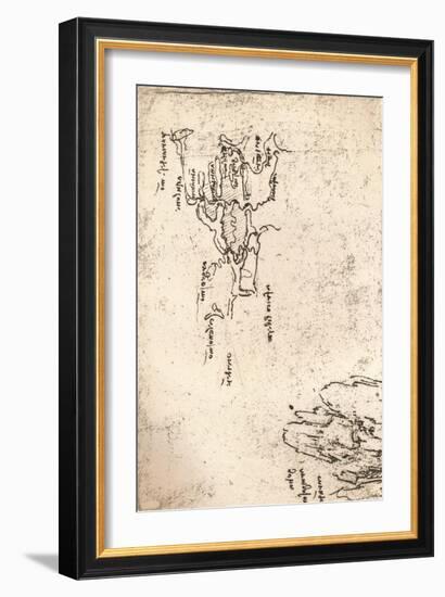 Sketch map of Armenia, c1472-c1519 (1883)-Leonardo Da Vinci-Framed Giclee Print