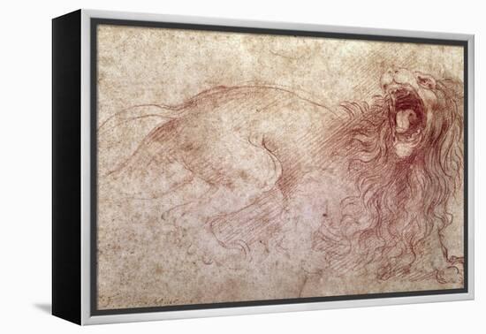 Sketch of a Roaring Lion-Leonardo da Vinci-Framed Premier Image Canvas