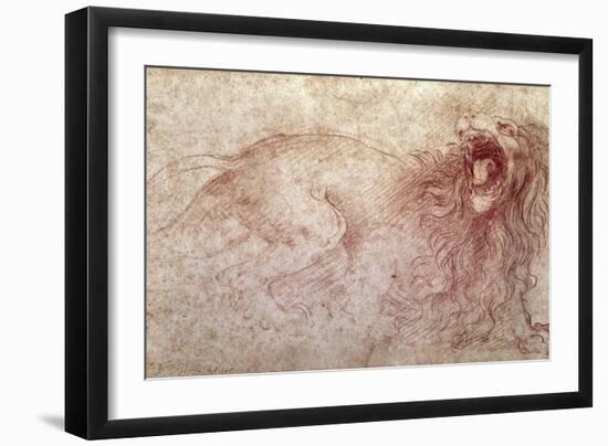 Sketch of a Roaring Lion-Leonardo da Vinci-Framed Giclee Print