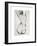 Sketch of a Young Woman's Back-isaxar-Framed Photographic Print