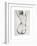 Sketch of a Young Woman's Back-isaxar-Framed Photographic Print