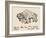 Sketch of An American Bison Made About 1599 During Onate's Expedition-null-Framed Giclee Print