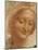 Sketch of Saint Anne, 1500-Leonardo da Vinci-Mounted Giclee Print