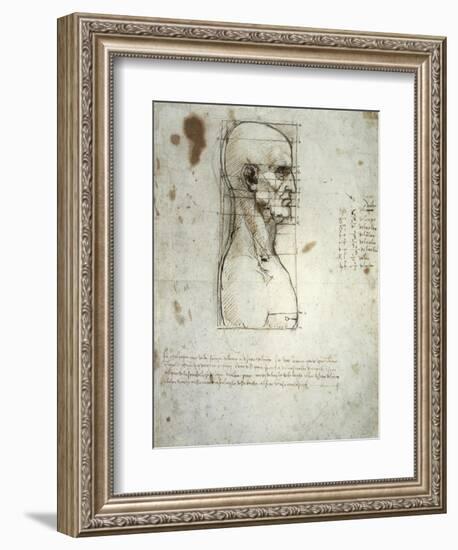 Sketch of the Head Proportions Base on Vitruvius-Leonardo da Vinci-Framed Art Print