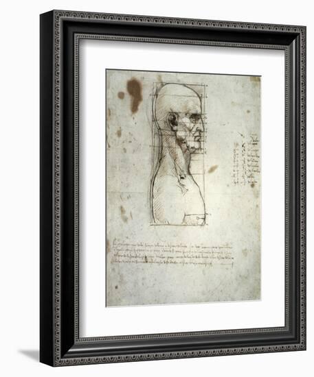 Sketch of the Head Proportions Base on Vitruvius-Leonardo da Vinci-Framed Art Print