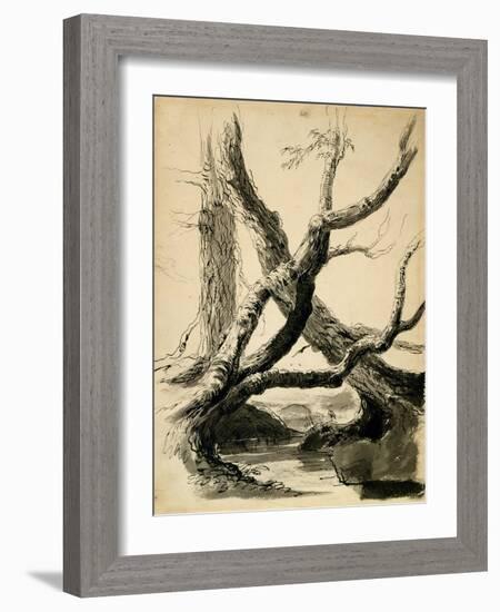 Sketch of Tree Trunks, C.1825-40 (Black Ink, Pen, Wash & Pencil on White Paper)-Thomas Cole-Framed Giclee Print