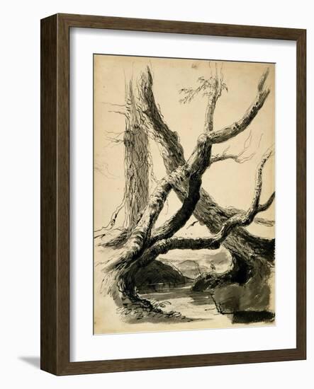 Sketch of Tree Trunks, C.1825-40 (Black Ink, Pen, Wash & Pencil on White Paper)-Thomas Cole-Framed Giclee Print