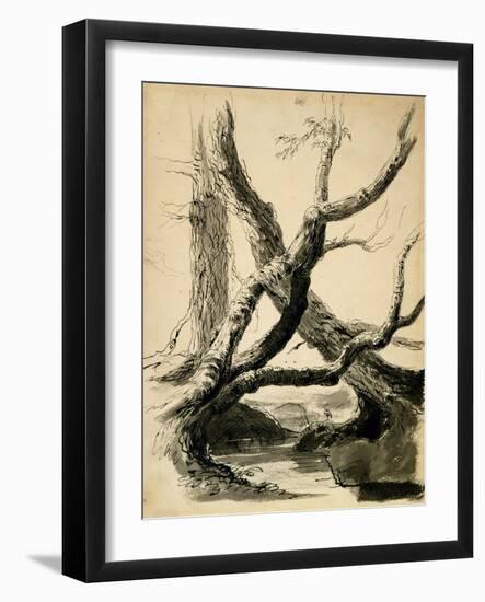 Sketch of Tree Trunks, C.1825-40 (Black Ink, Pen, Wash & Pencil on White Paper)-Thomas Cole-Framed Giclee Print