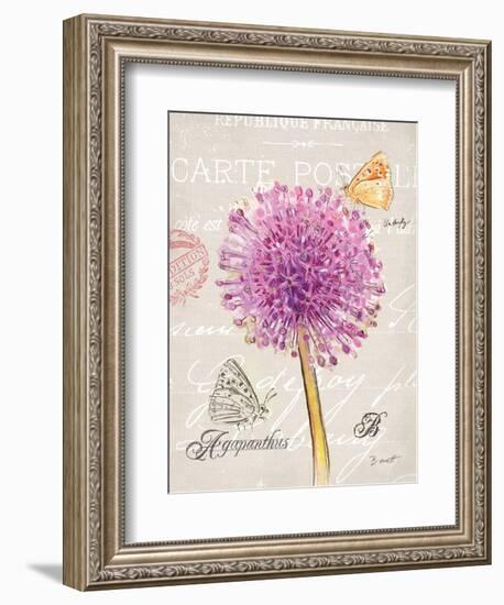 Sketchbook Agapanthus-Chad Barrett-Framed Art Print