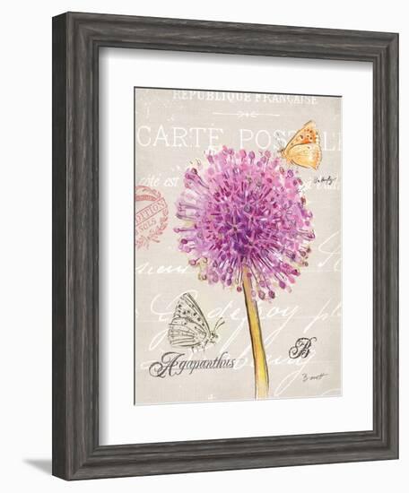 Sketchbook Agapanthus-Chad Barrett-Framed Art Print