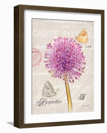 Sketchbook Agapanthus-Chad Barrett-Framed Art Print