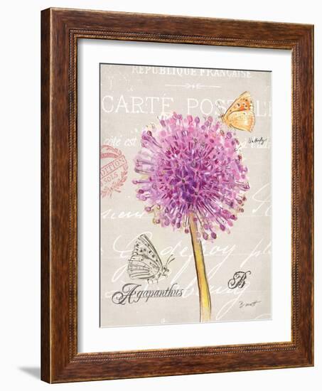 Sketchbook Agapanthus-Chad Barrett-Framed Art Print