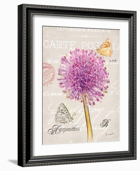 Sketchbook Agapanthus-Chad Barrett-Framed Art Print