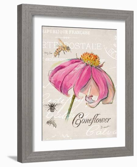 Sketchbook Coneflower-Chad Barrett-Framed Art Print