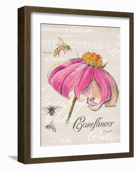 Sketchbook Coneflower-Chad Barrett-Framed Art Print