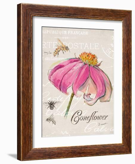 Sketchbook Coneflower-Chad Barrett-Framed Art Print