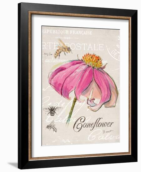 Sketchbook Coneflower-Chad Barrett-Framed Art Print